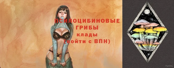 шишки Алексеевка