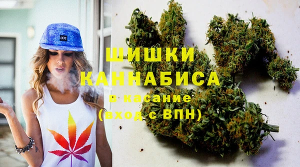 шишки Алексеевка