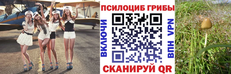 маркетплейс Telegram  Тавда  Галлюциногенные грибы мицелий  купить  цена 